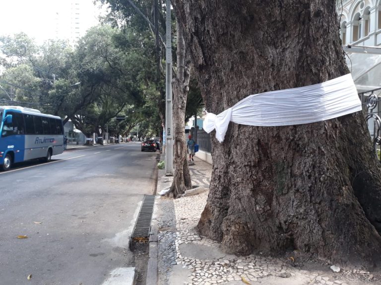 Alvorada dos Ojás presta homenagem a Mestre Moa do Katendê em seu